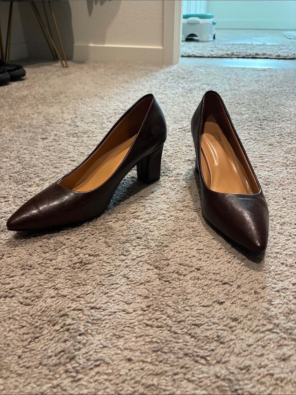 Classic Pointed-Toe Block Heel Pumps - Dark Brown